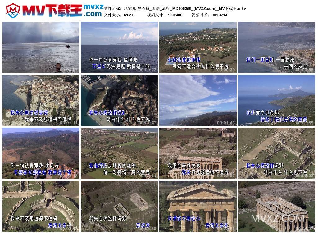 赵霏儿-失心疯_国语_流行_MD405259